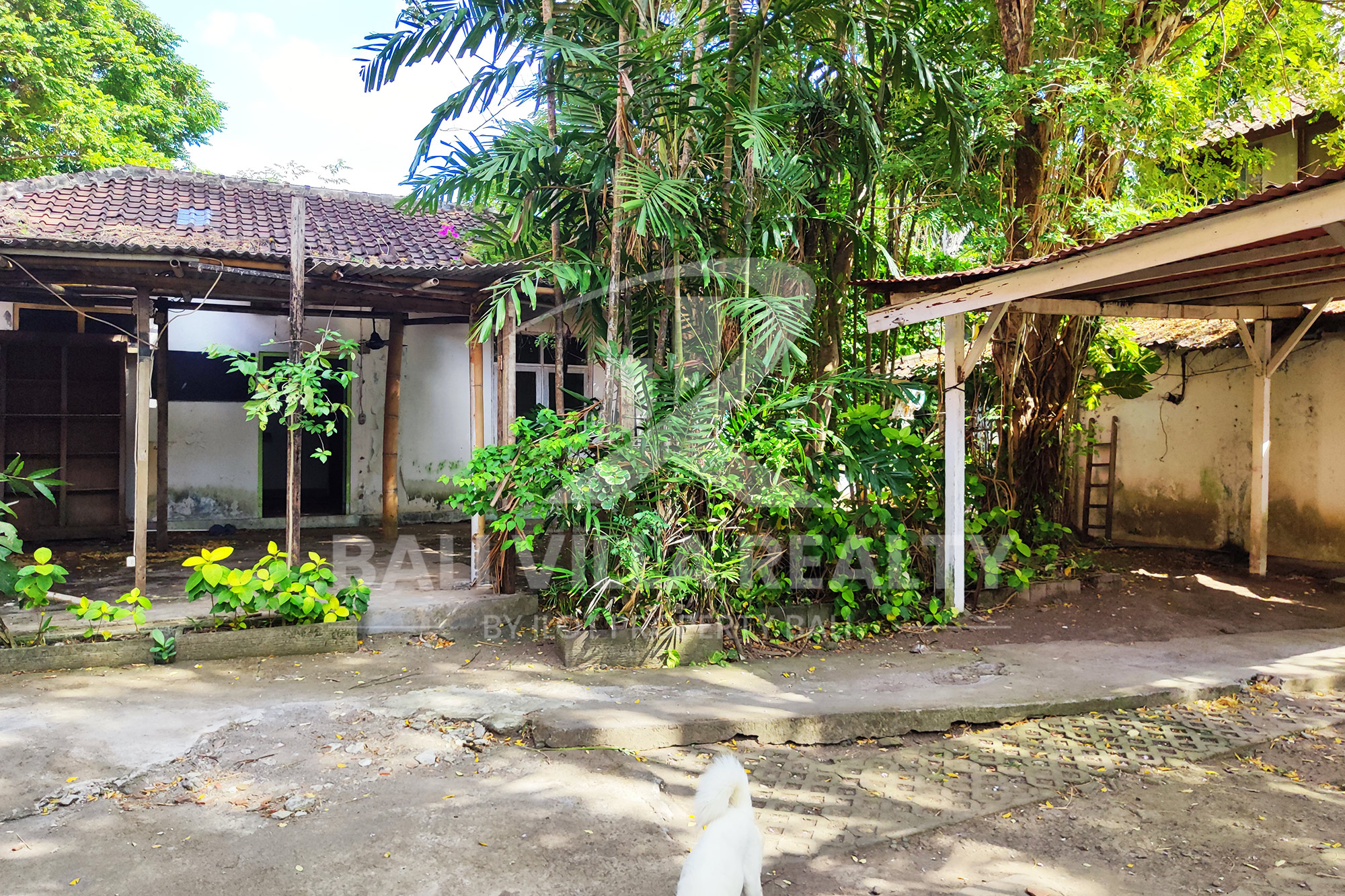 600m2 Amazing Land At Heart Of Seminyak