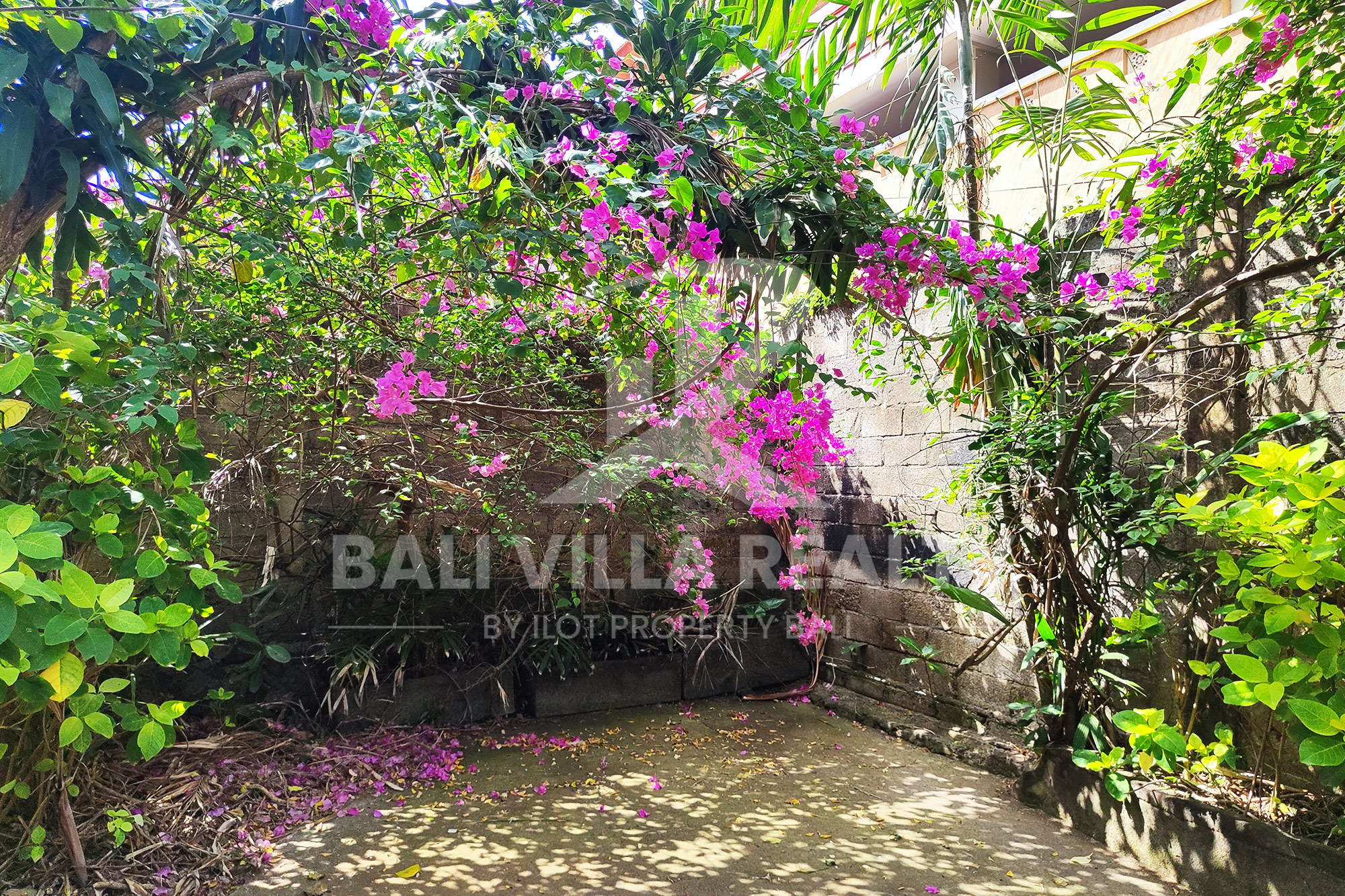 600m2 Amazing Land At Heart Of Seminyak