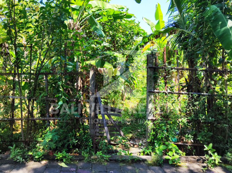 Stunning Land In Residance Area Cepaka near Tumbak Bayuh