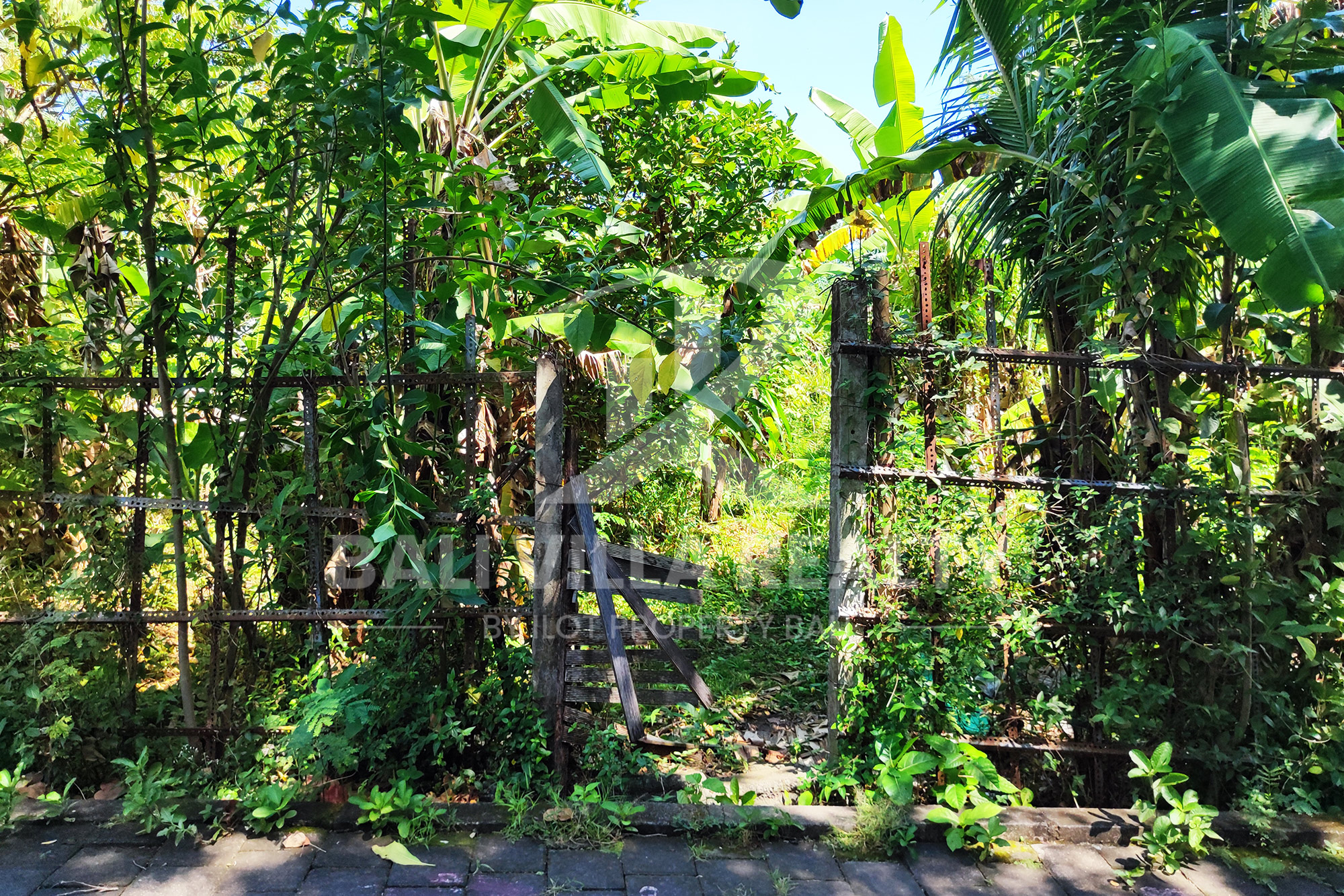 Stunning Land In Residance Area Cepaka near Tumbak Bayuh