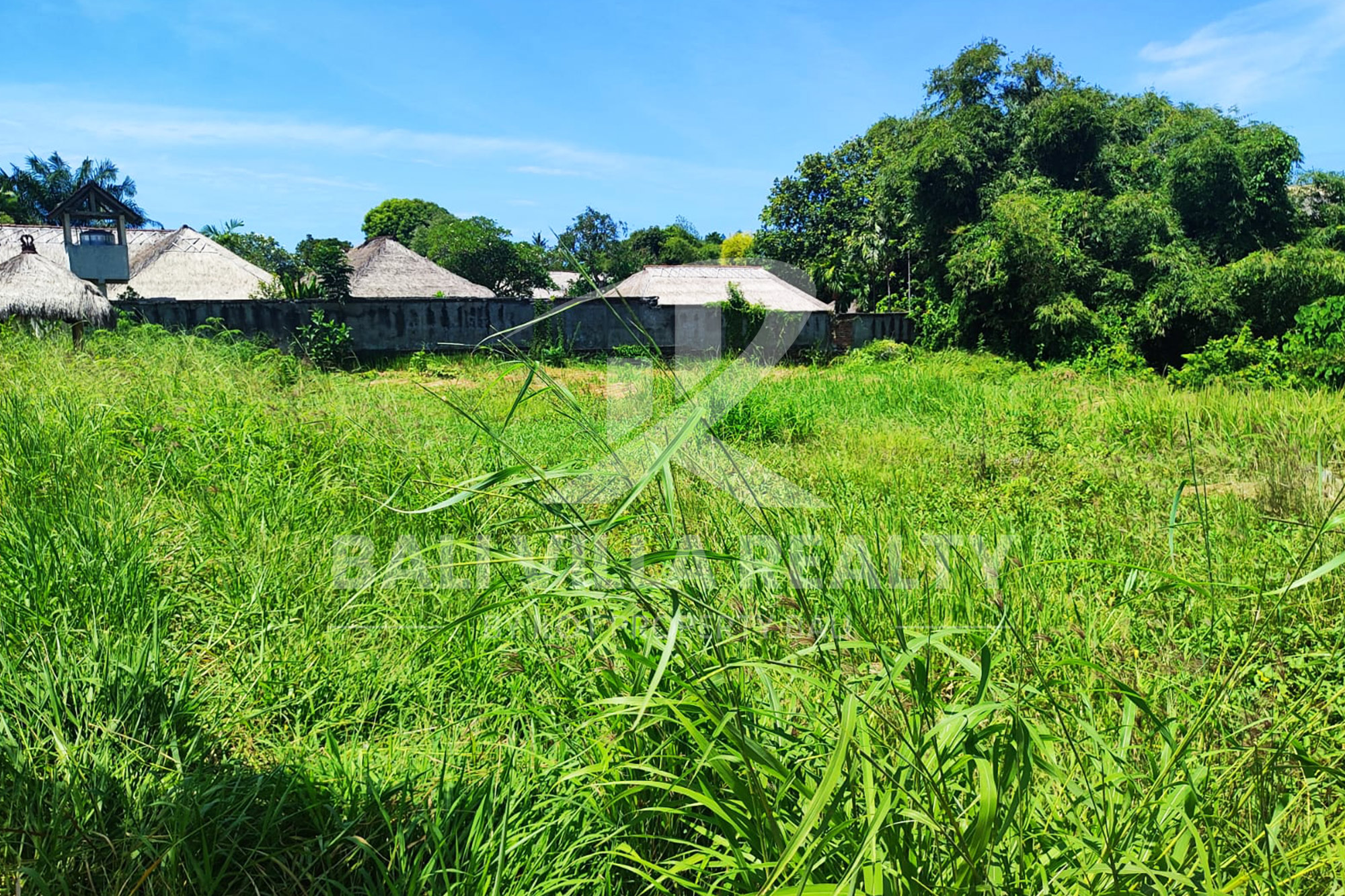 Paradise In Canggu : Your Ideal Investment Awaits!