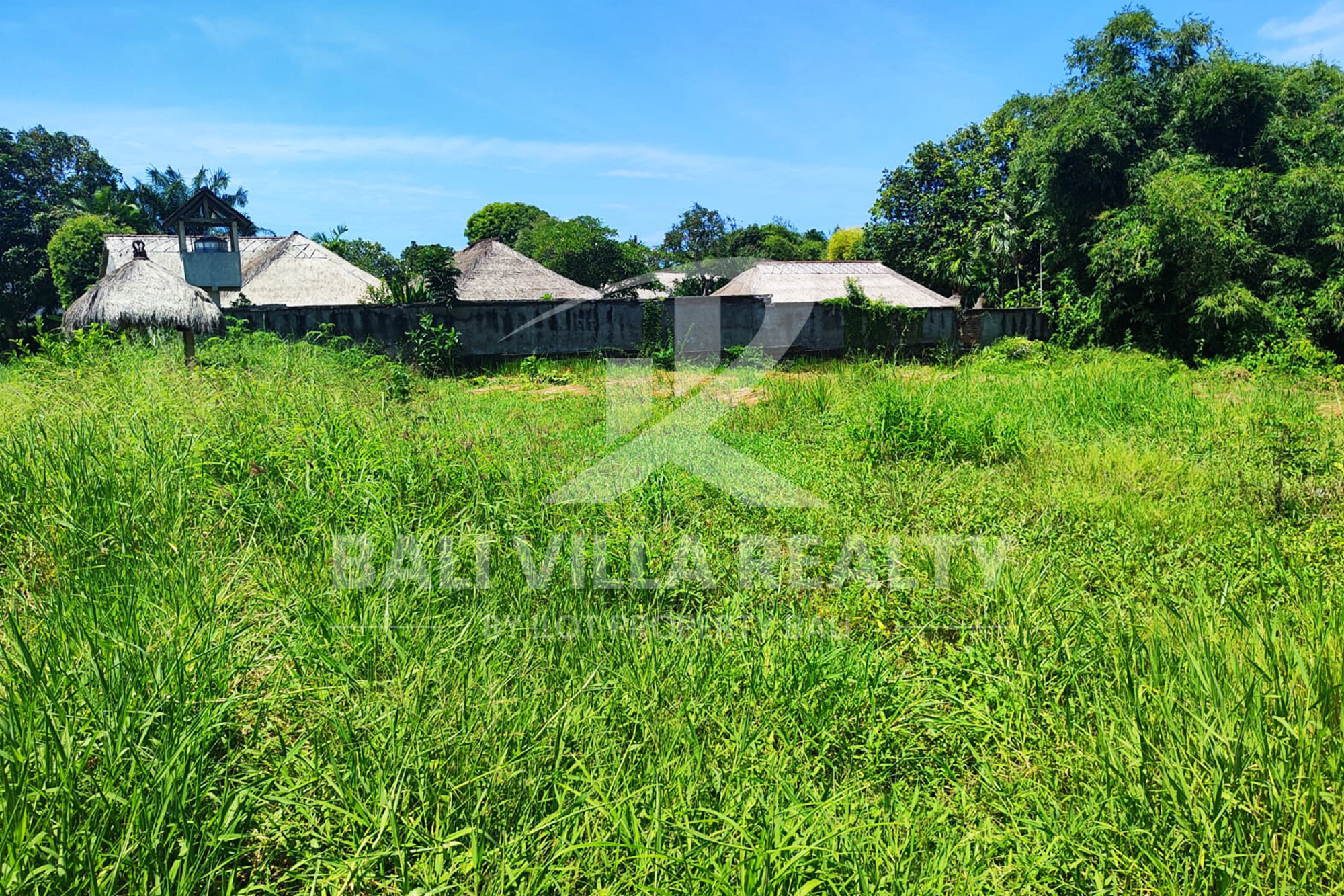 Paradise In Canggu : Your Ideal Investment Awaits!