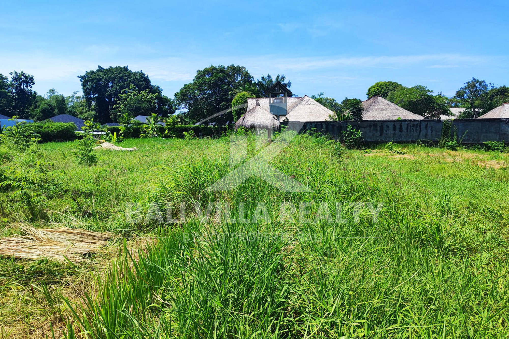 Paradise In Canggu : Your Ideal Investment Awaits!