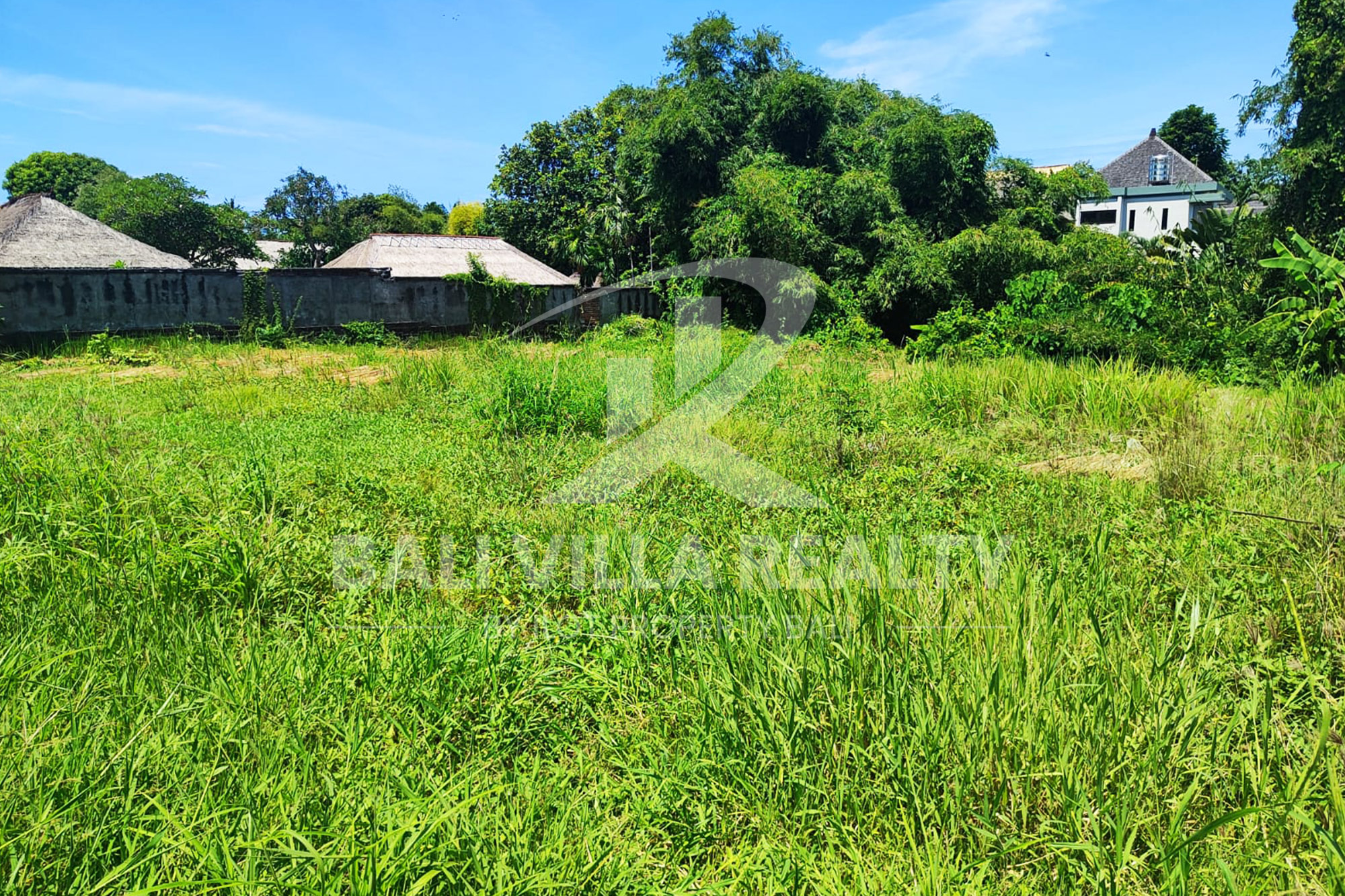 Paradise In Canggu : Your Ideal Investment Awaits!