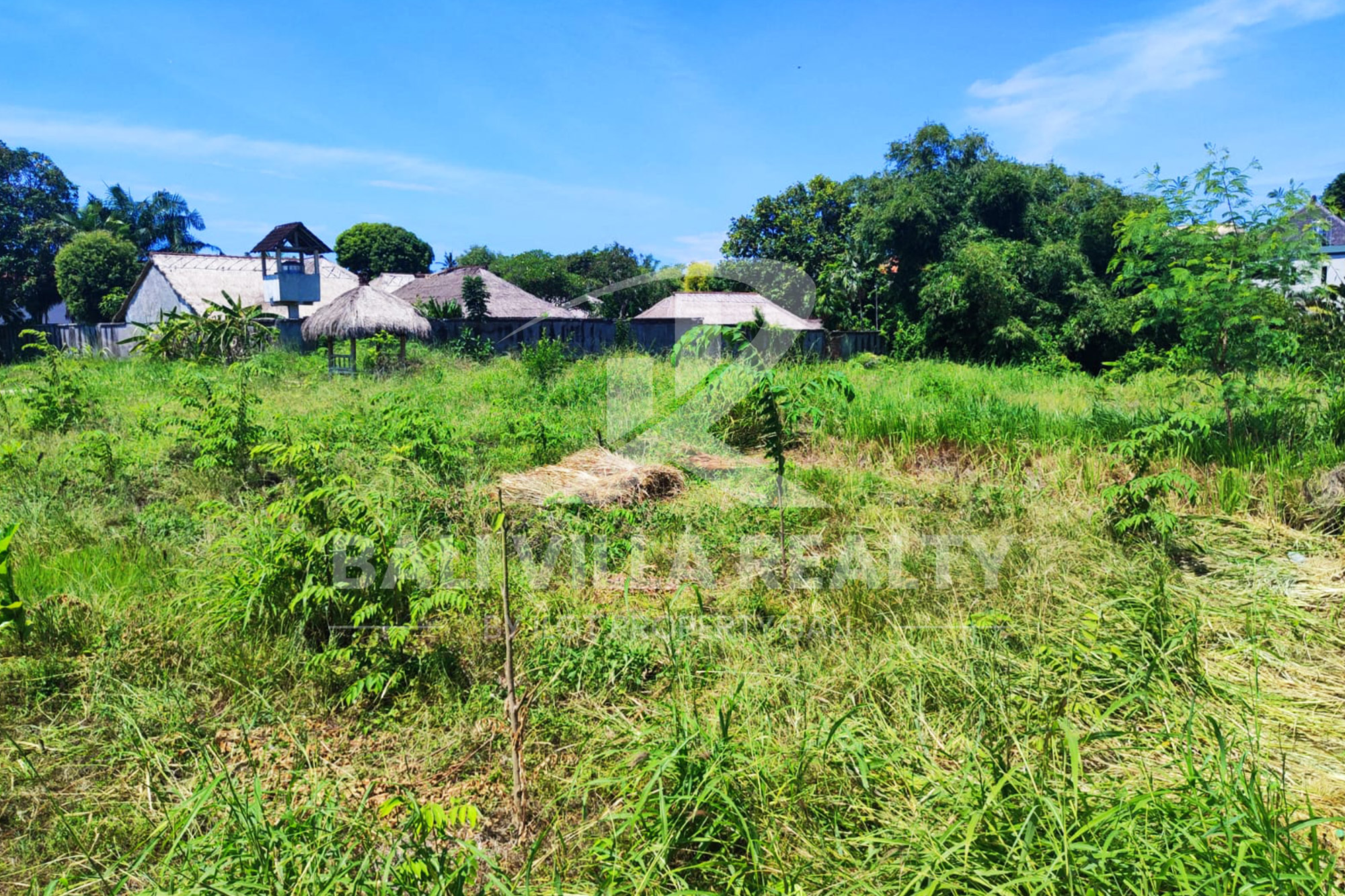 Paradise In Canggu : Your Ideal Investment Awaits!