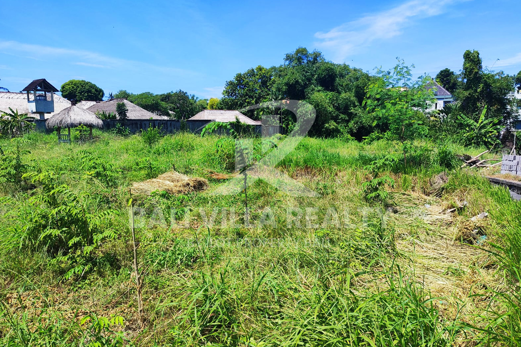 Paradise In Canggu : Your Ideal Investment Awaits!