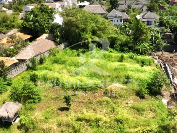 Paradise In Canggu : Your Ideal Investment Awaits!