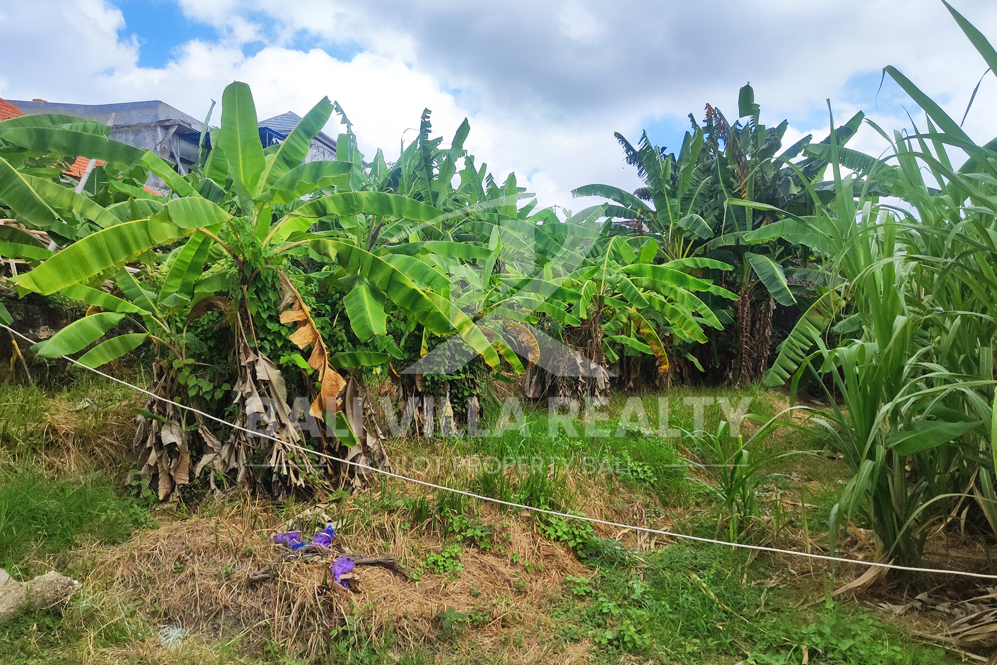 Prime 450m2 Land With Stunning Rice Field Views In Dalung, Badung, Bali
