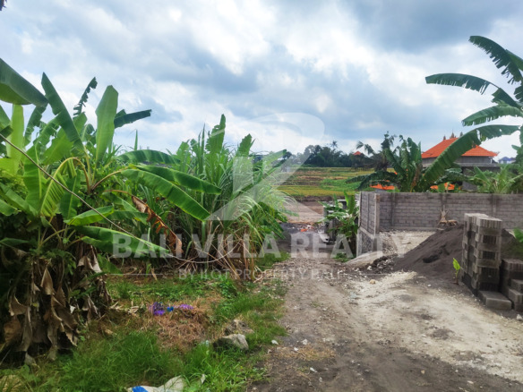 Prime 450m2 Land With Stunning Rice Field Views In Dalung, Badung, Bali