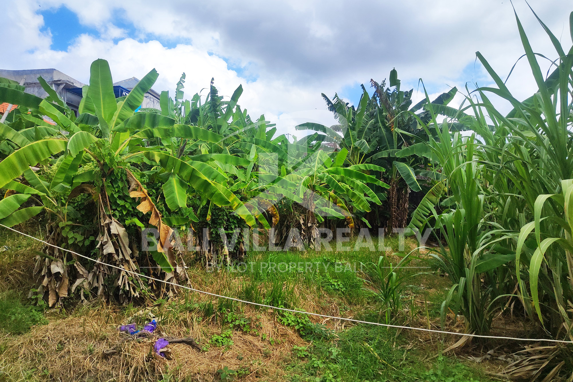 Prime 450m2 Land With Stunning Rice Field Views In Dalung, Badung, Bali