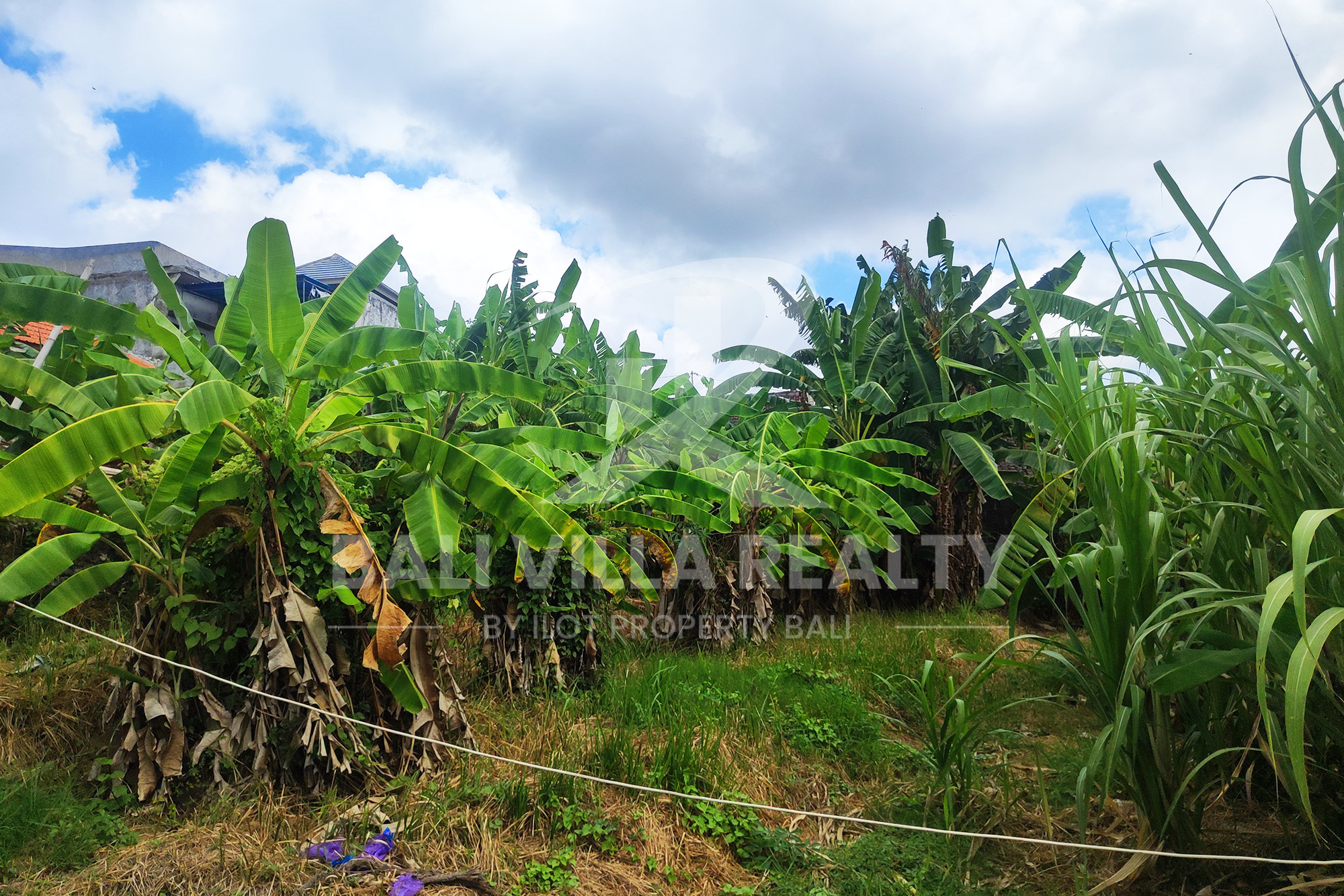 Prime 450m2 Land With Stunning Rice Field Views In Dalung, Badung, Bali