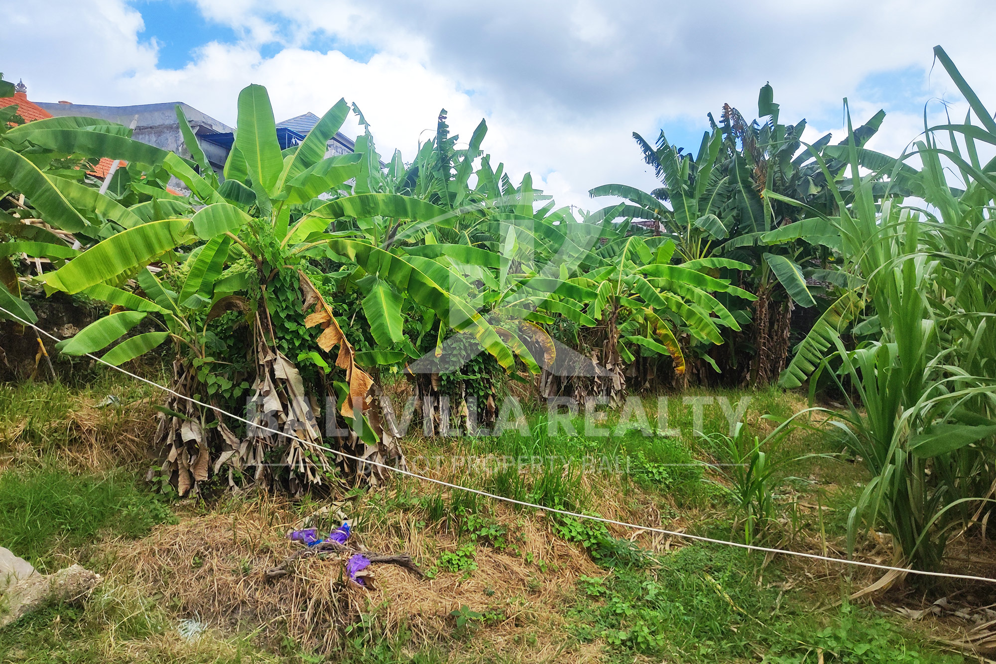 Prime 450m2 Land With Stunning Rice Field Views In Dalung, Badung, Bali