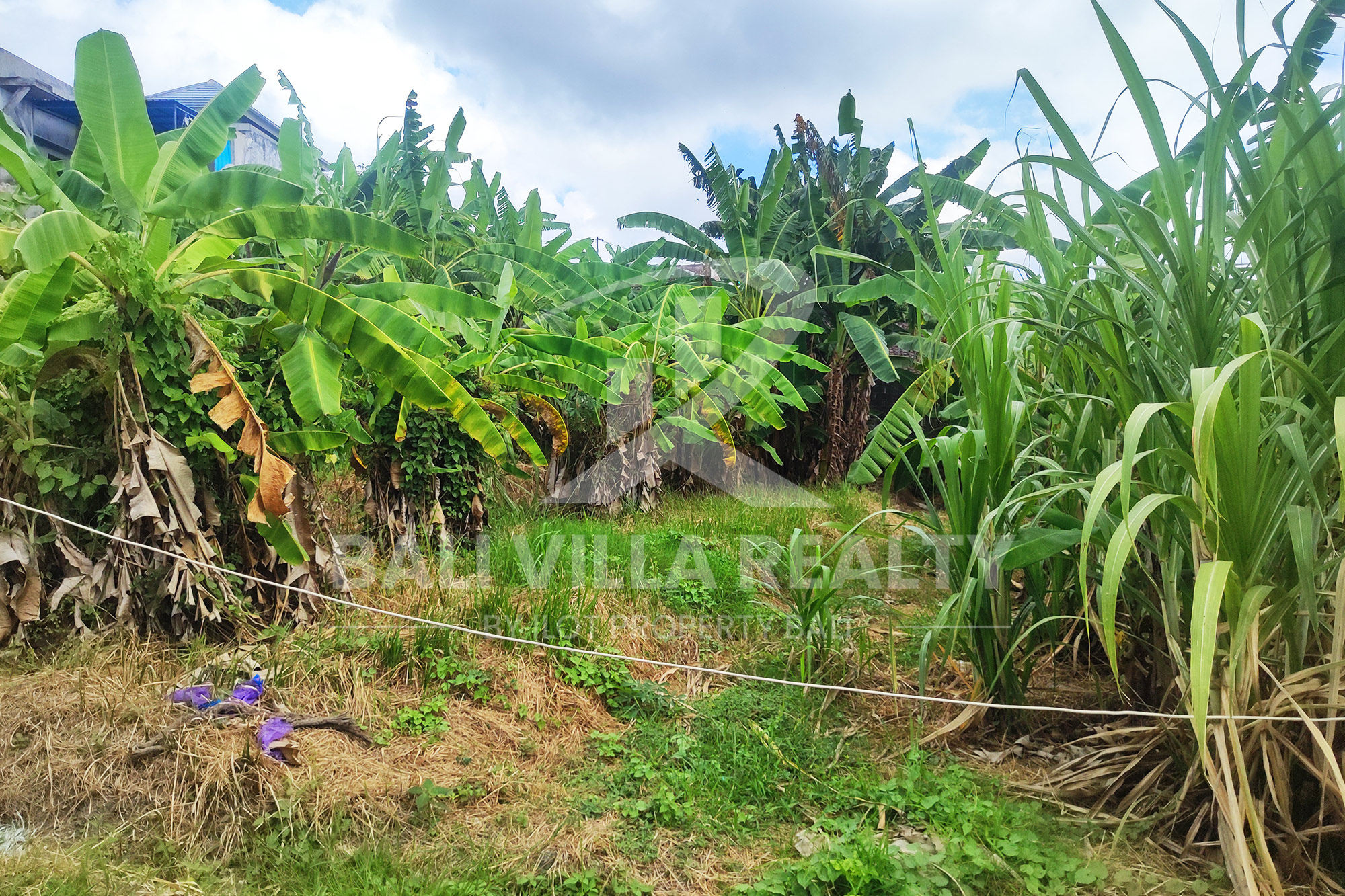 Prime 450m2 Land With Stunning Rice Field Views In Dalung, Badung, Bali