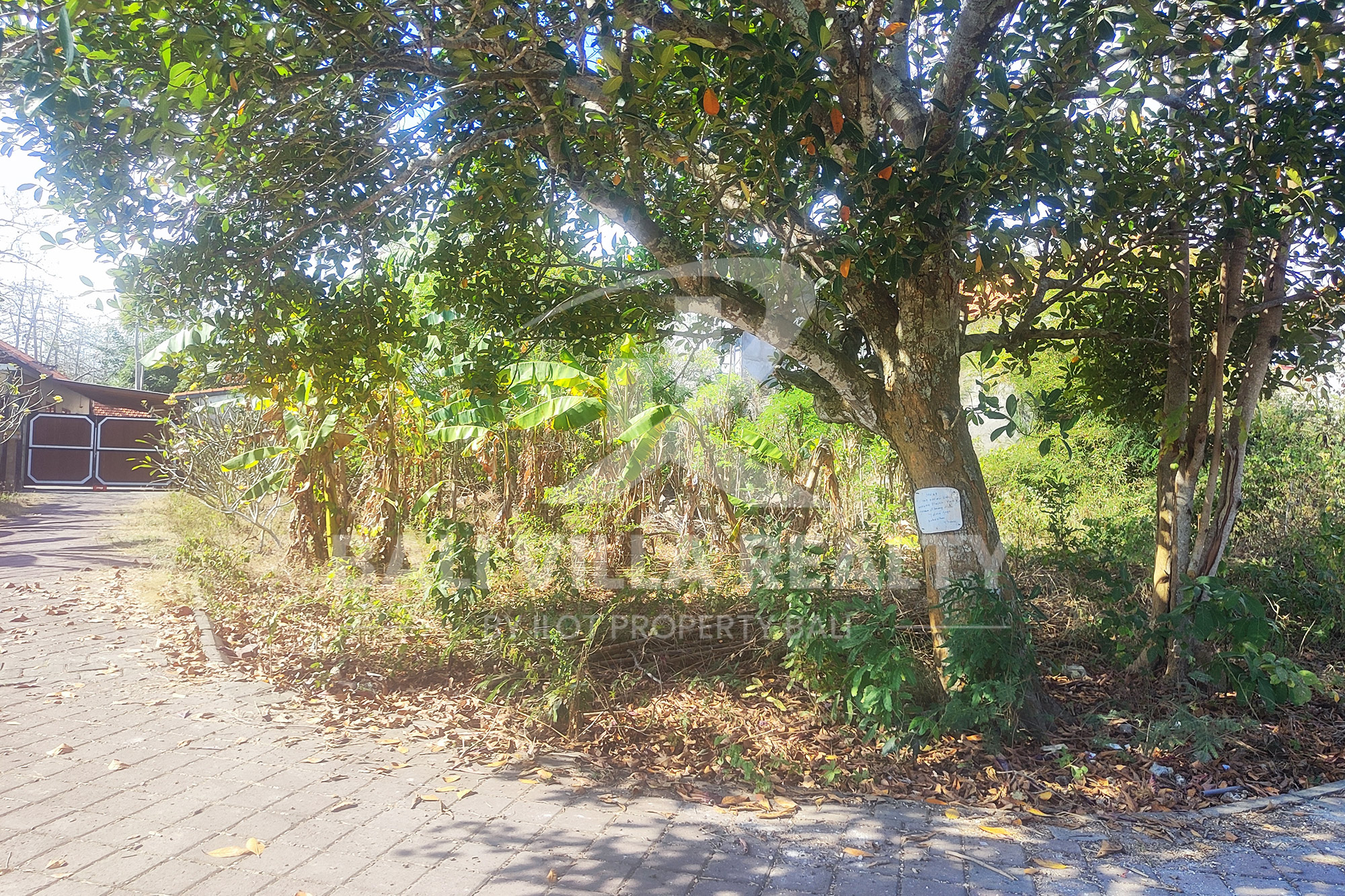 900m2 Stunning Land With Ocean Vibe In Nyang - Nyang Beach, Pecatu