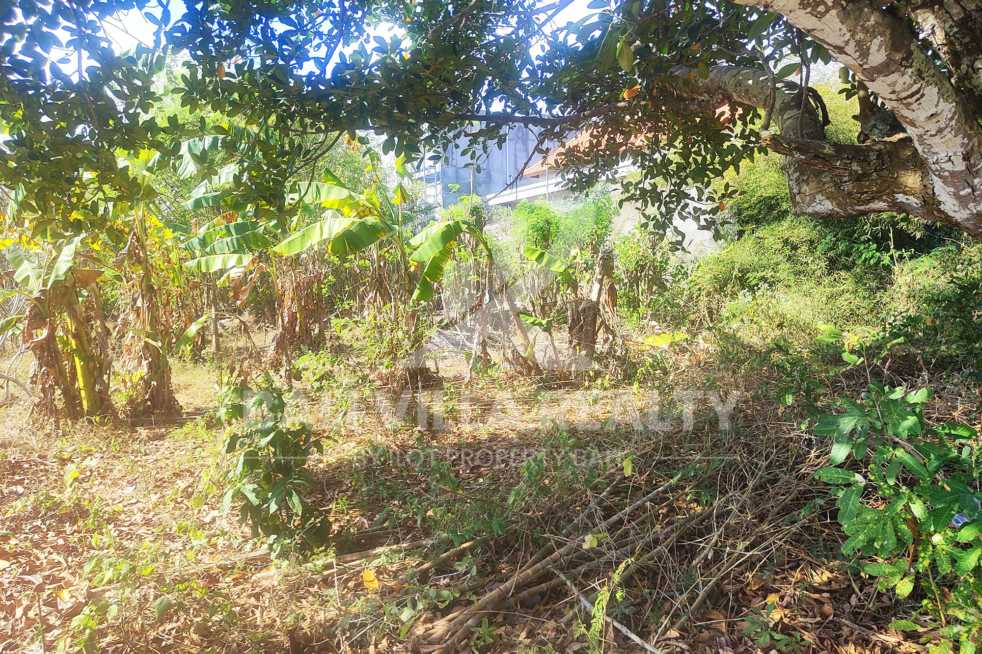 900m2 Stunning Land With Ocean Vibe In Nyang - Nyang Beach, Pecatu