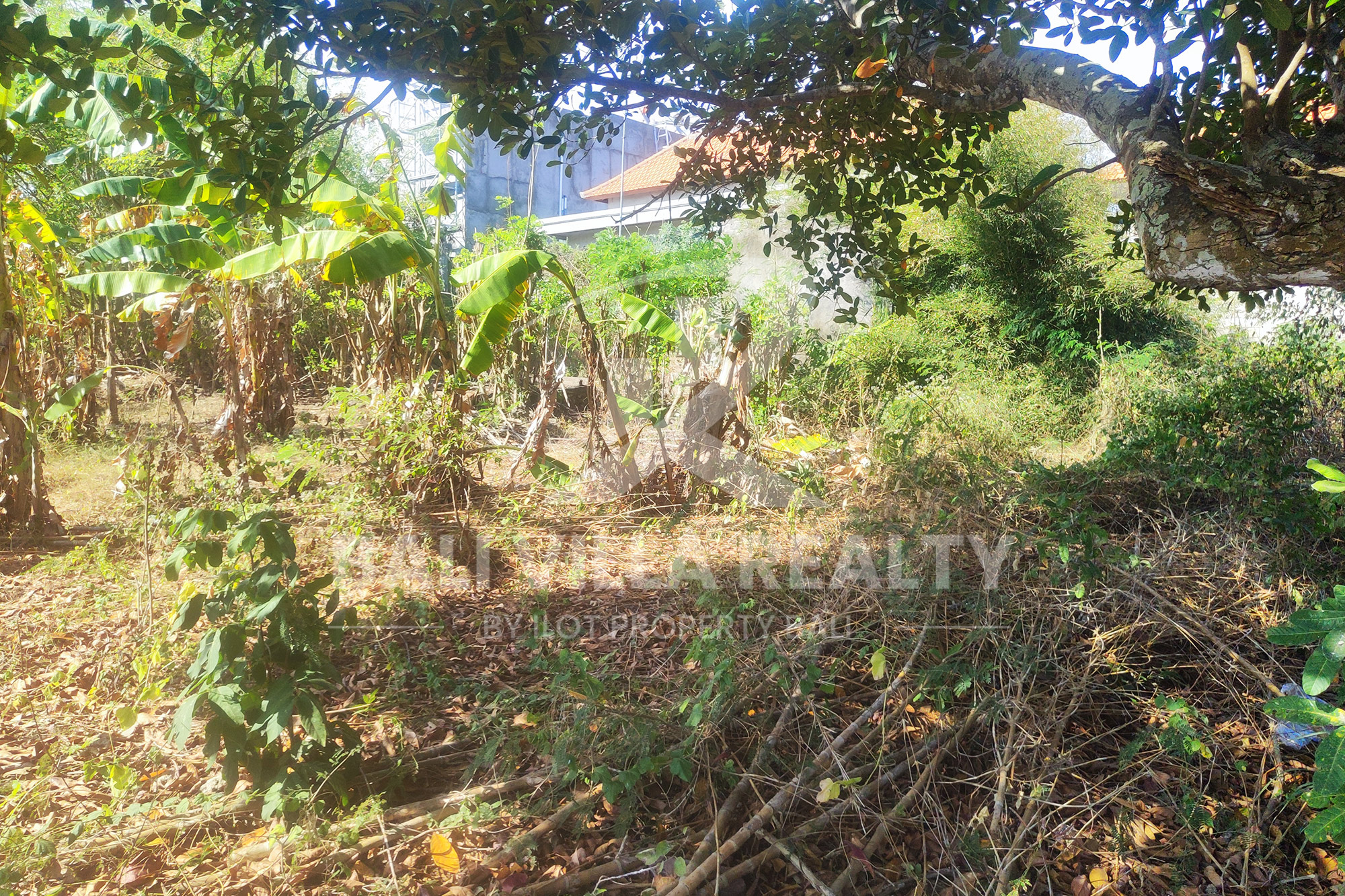 900m2 Stunning Land With Ocean Vibe In Nyang - Nyang Beach, Pecatu