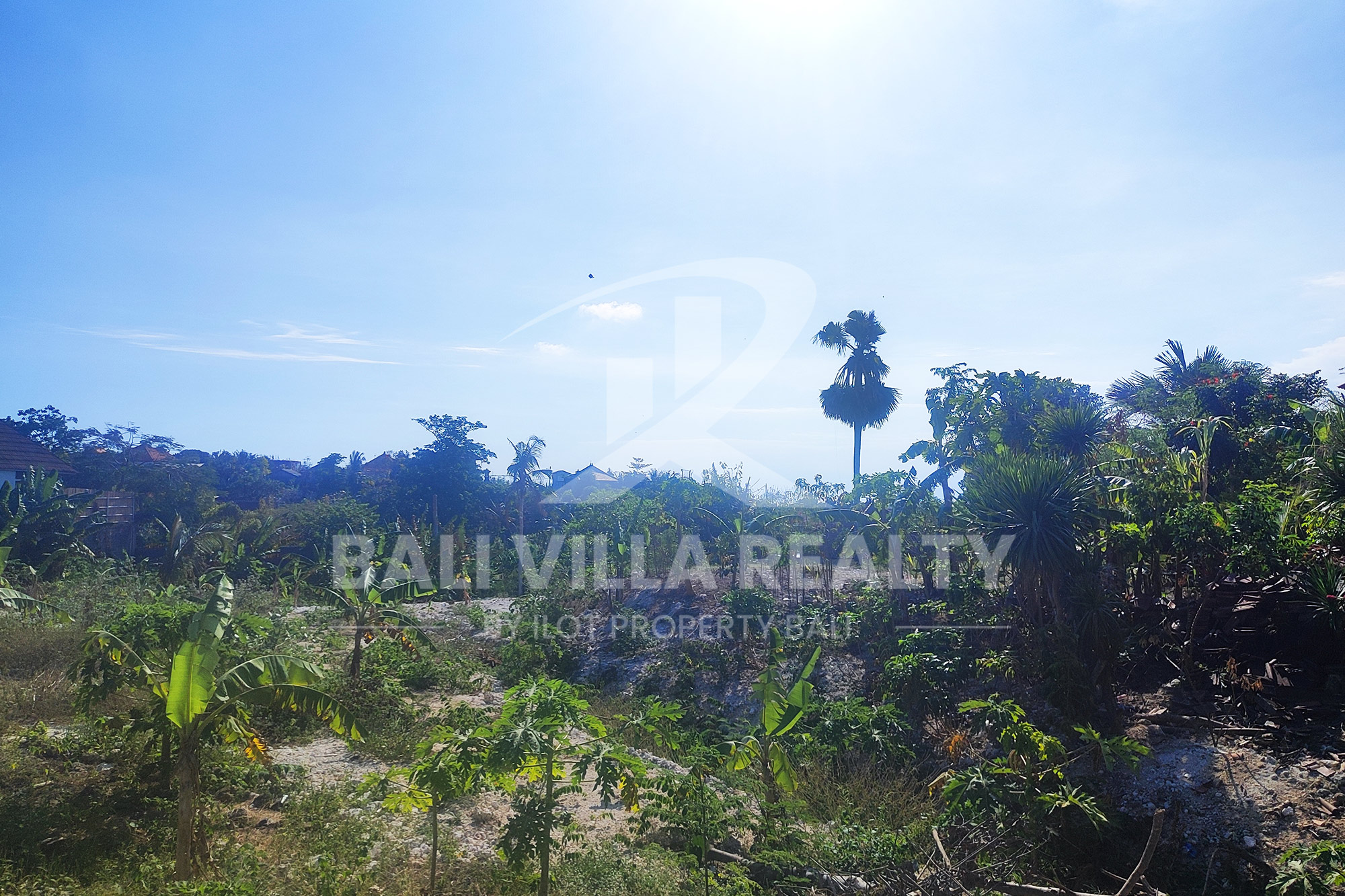 5000m² Prime Ocean View Plot in Pecatu Badung