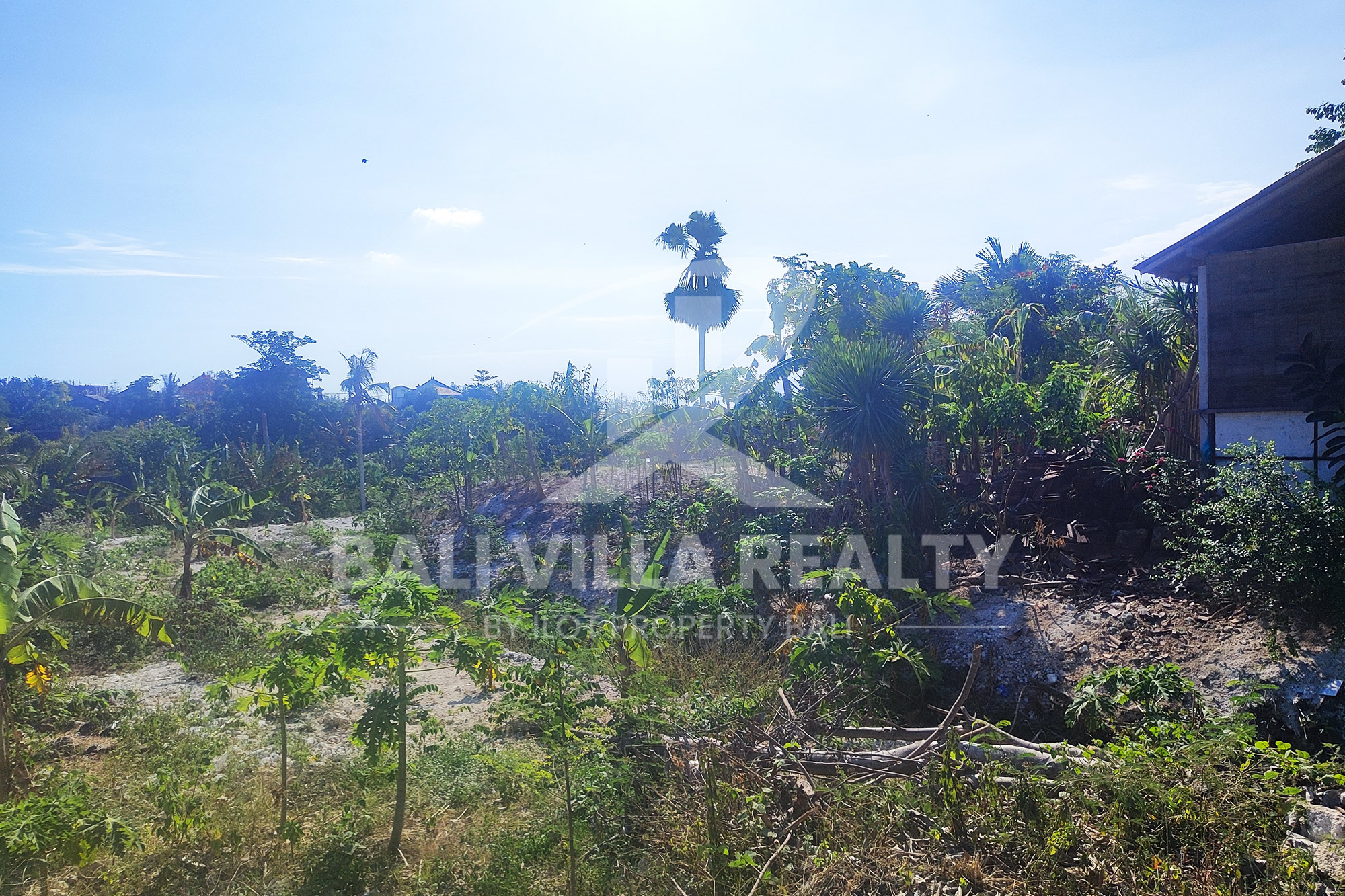 5000m² Prime Ocean View Plot in Pecatu Badung