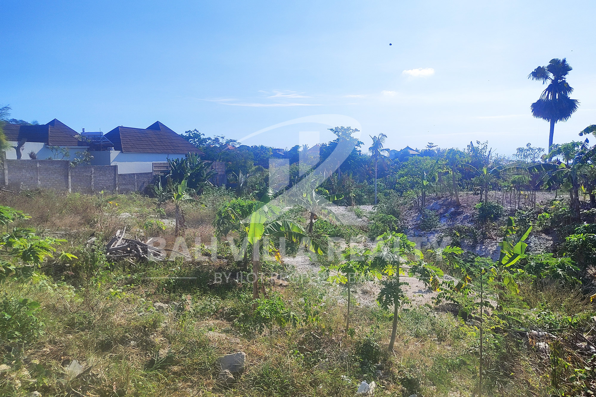 5000m² Prime Ocean View Plot in Pecatu Badung