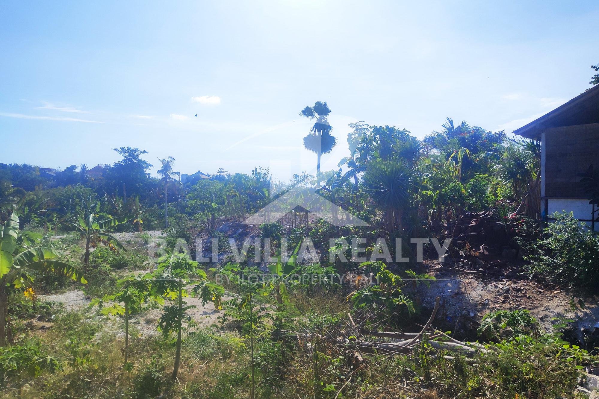 5000m² Prime Ocean View Plot in Pecatu Badung