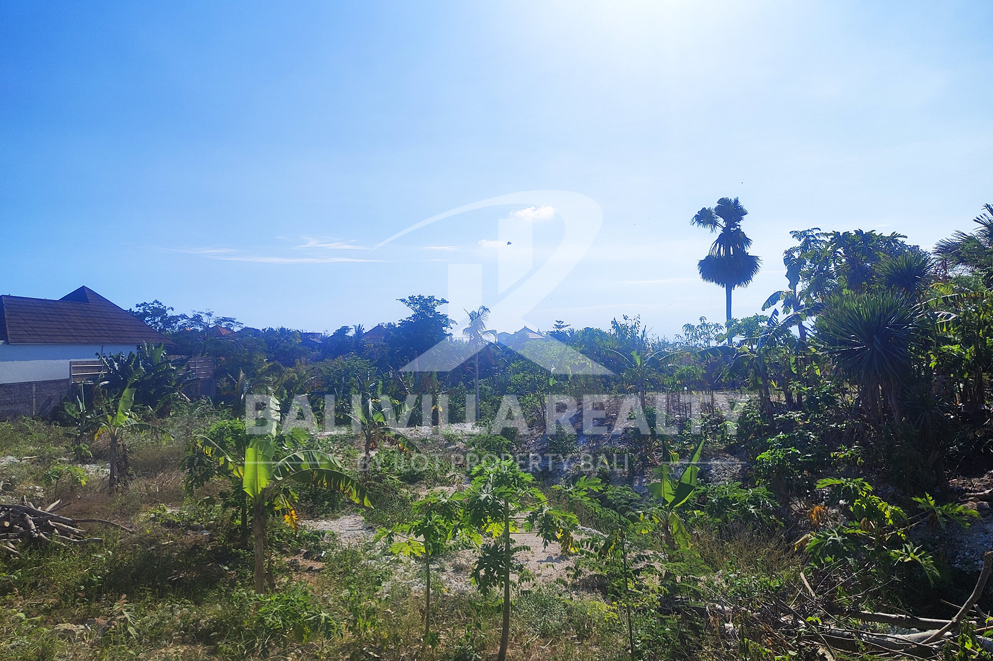 5000m² Prime Ocean View Plot in Pecatu Badung