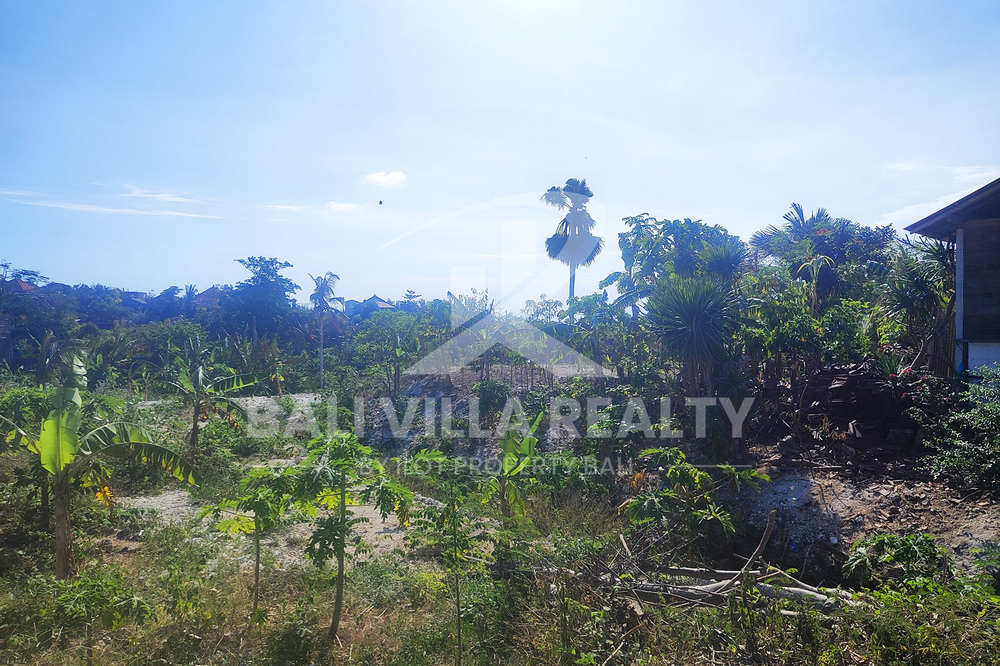 5000m² Prime Ocean View Plot in Pecatu Badung