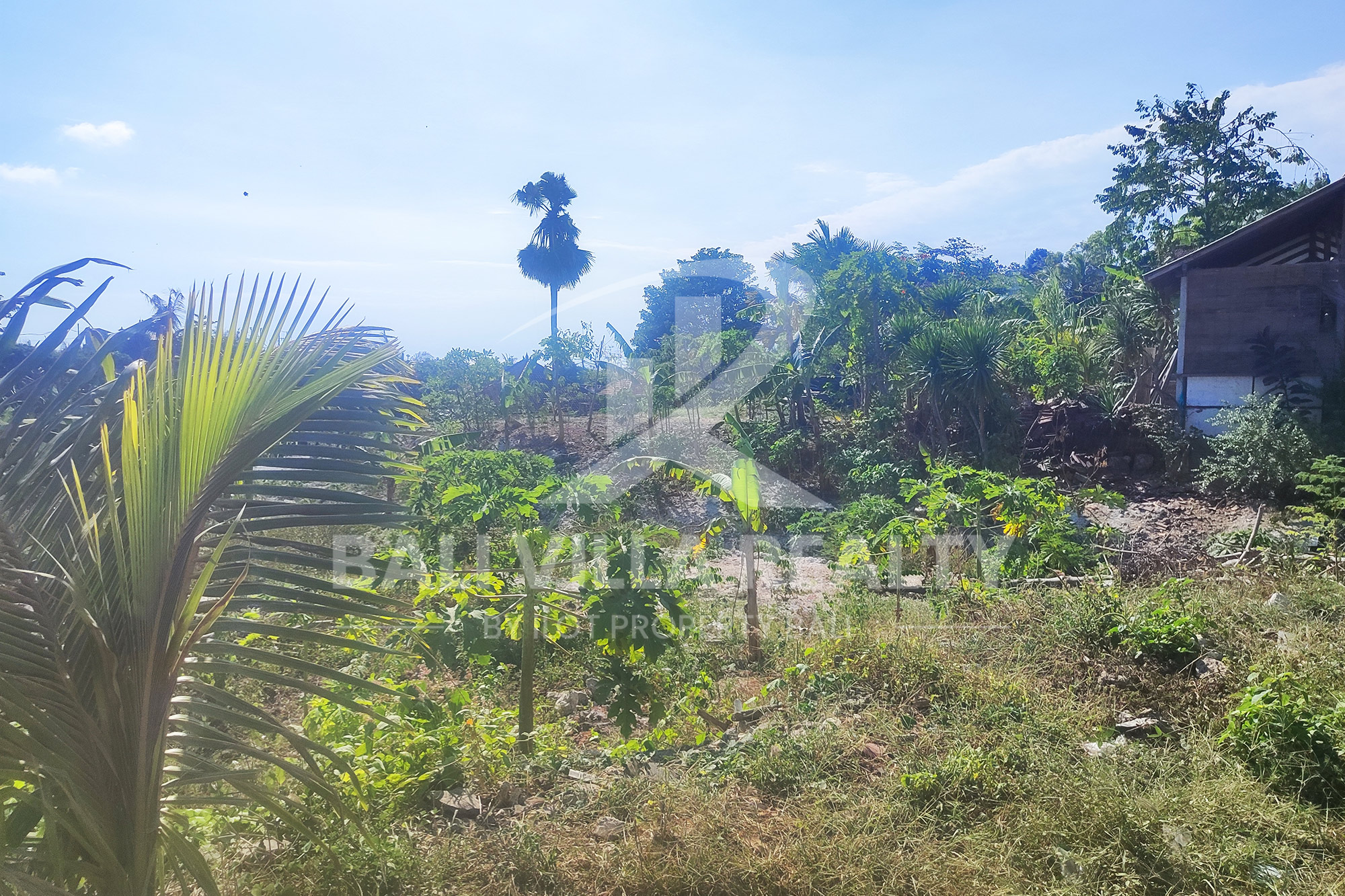 5000m² Prime Ocean View Plot in Pecatu Badung