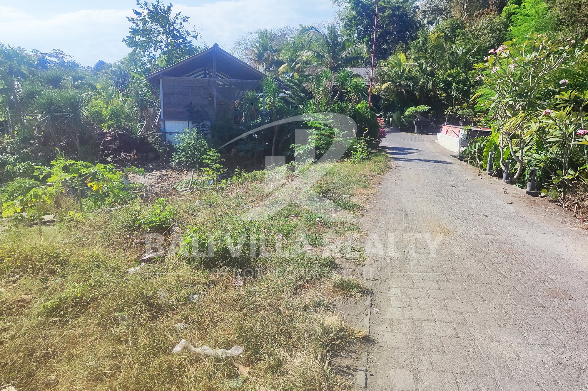 5000m² Prime Ocean View Plot in Pecatu Badung