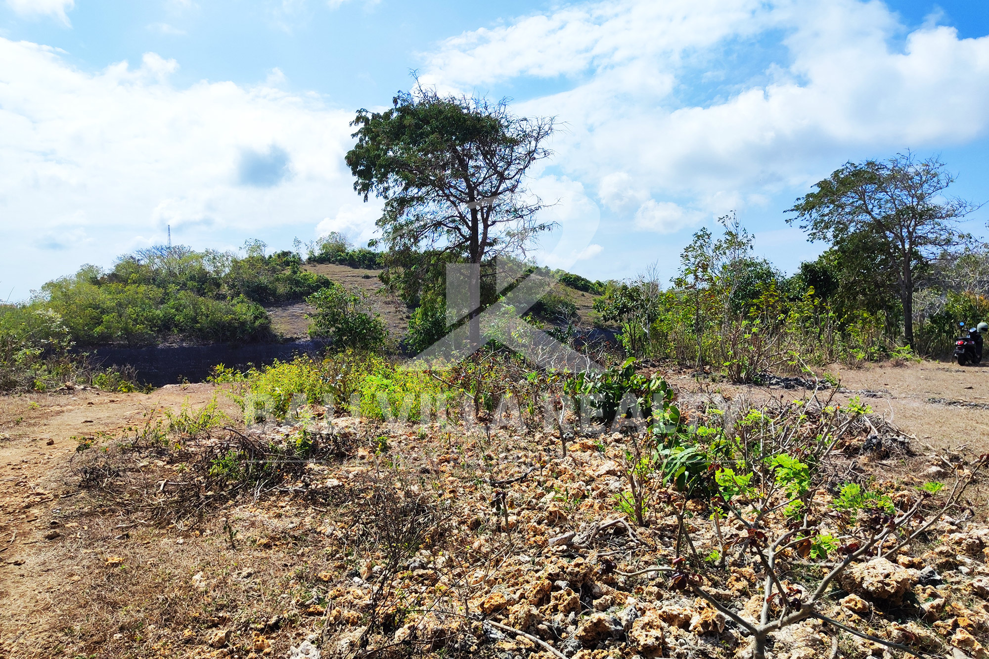 3000m2 Stunning Land With Ocean View In Pandawa Beach, Kutuh