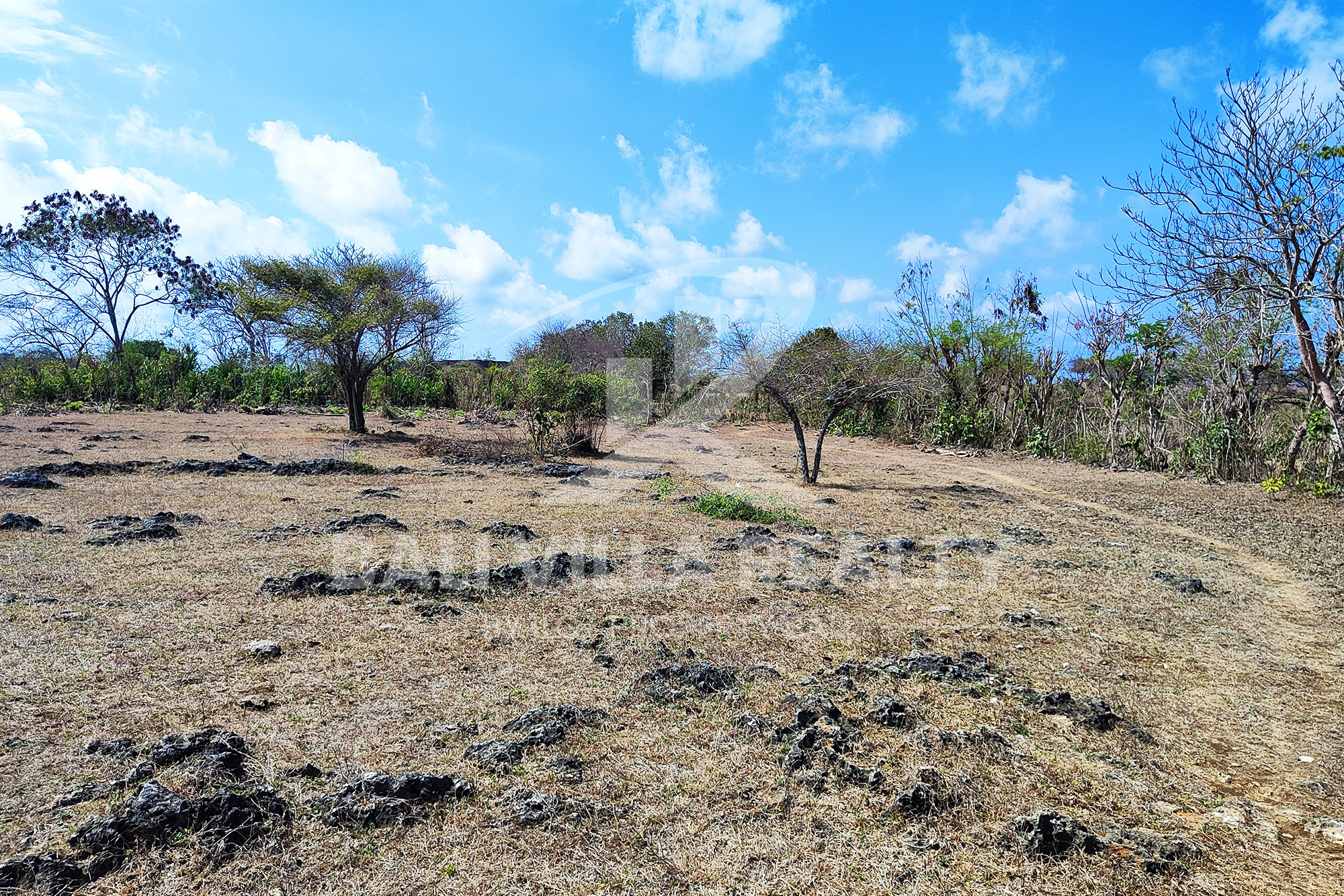 3000m2 Stunning Land With Ocean View In Pandawa Beach, Kutuh