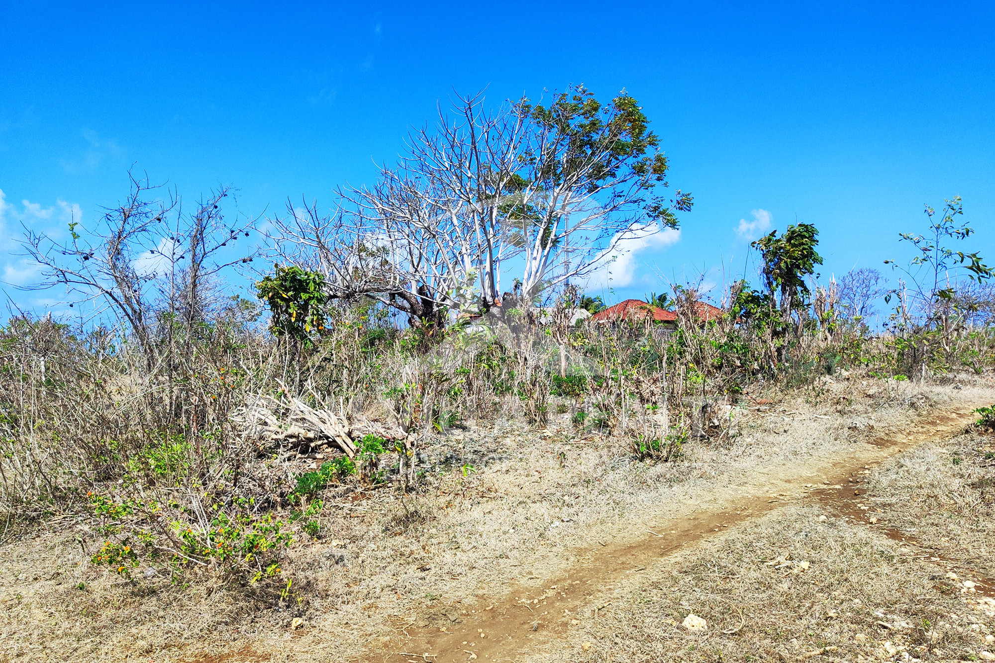 3000m2 Stunning Land With Ocean View In Pandawa Beach, Kutuh