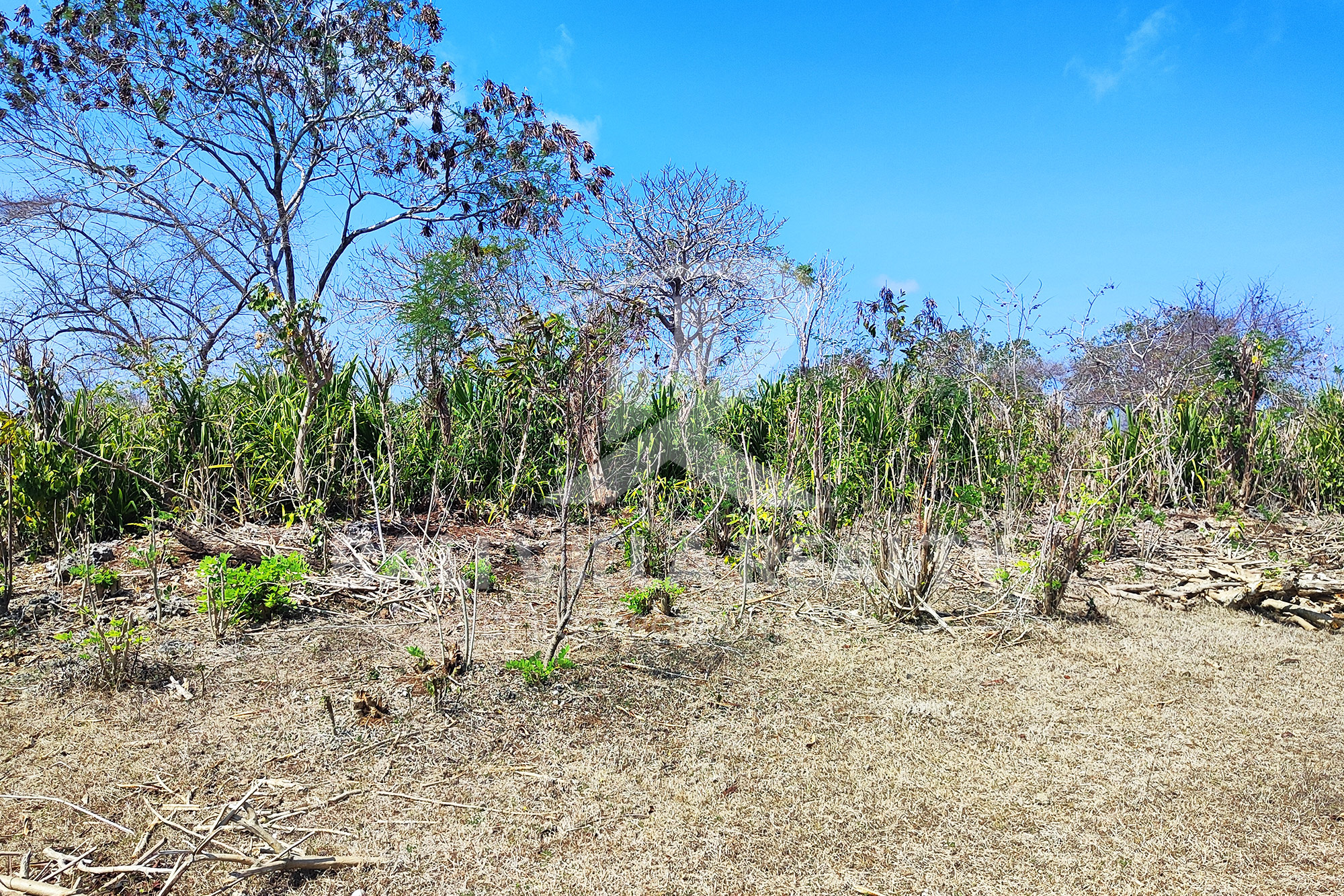 3000m2 Stunning Land With Ocean View In Pandawa Beach, Kutuh