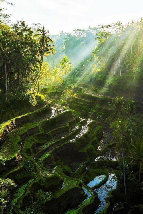 Ubud