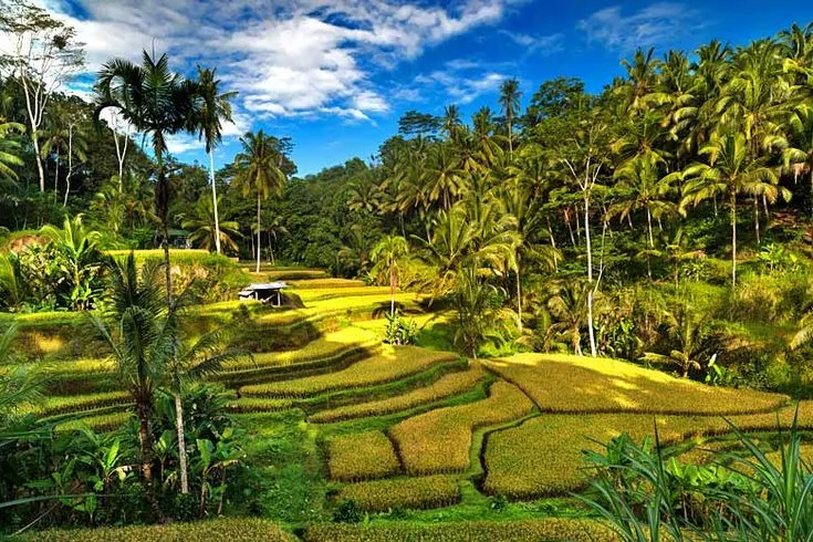 Ubud is a Cultural and Nature Retreat