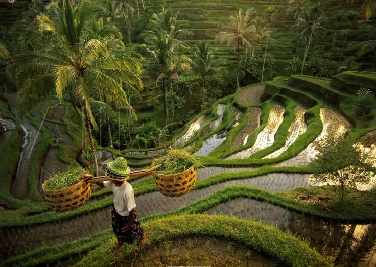 Ubud is for Culture and Nature Lovers