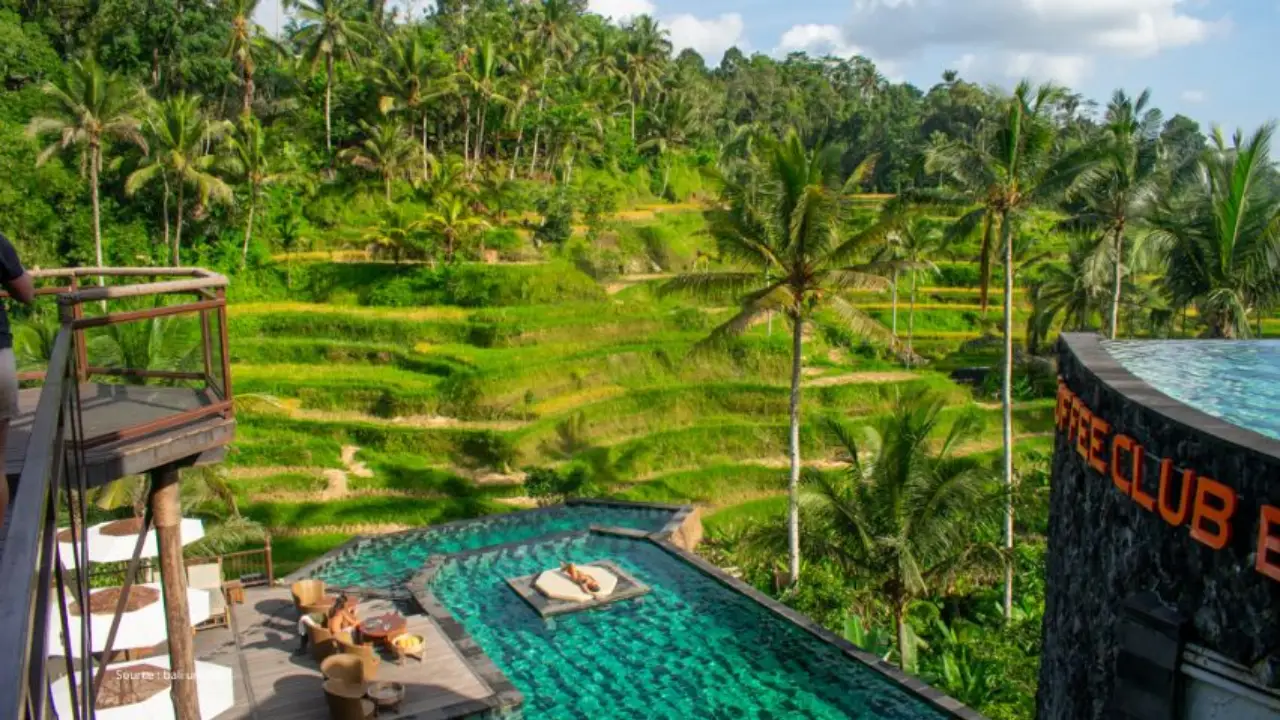 ubud or sanur