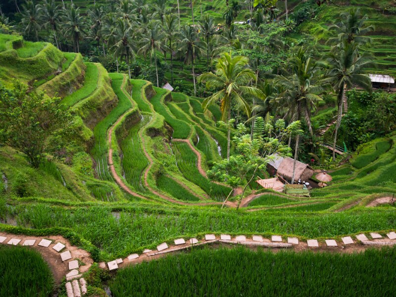ubud, bali