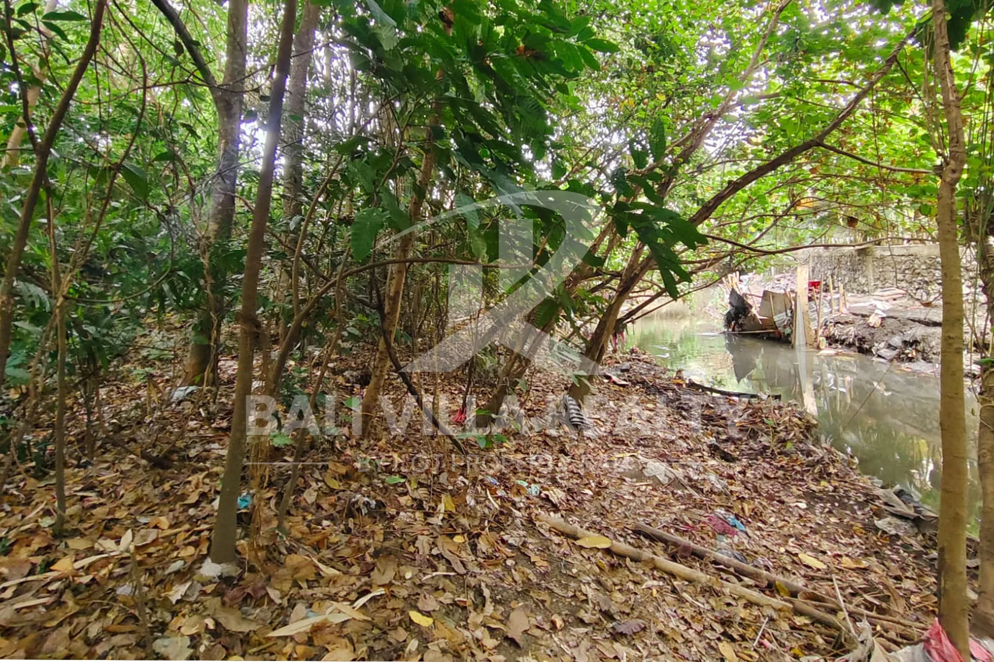 ipl000642-1-6901858dd8de9