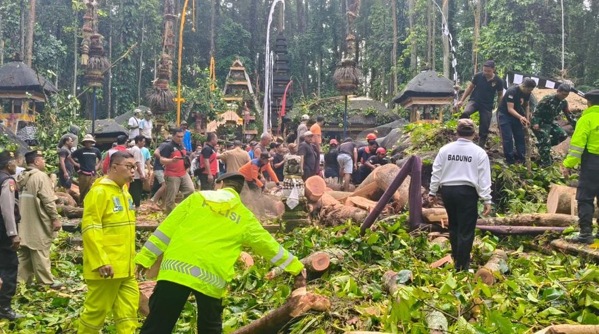 sangeh monkey forest incident