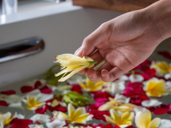 bali wellness business opportunity