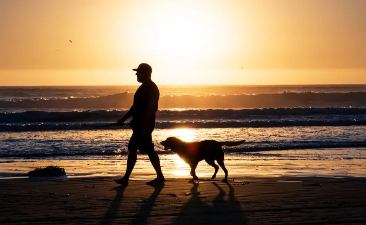 Can You Really Bring a Pet to Bali? Honest Guide Every Expat Needs