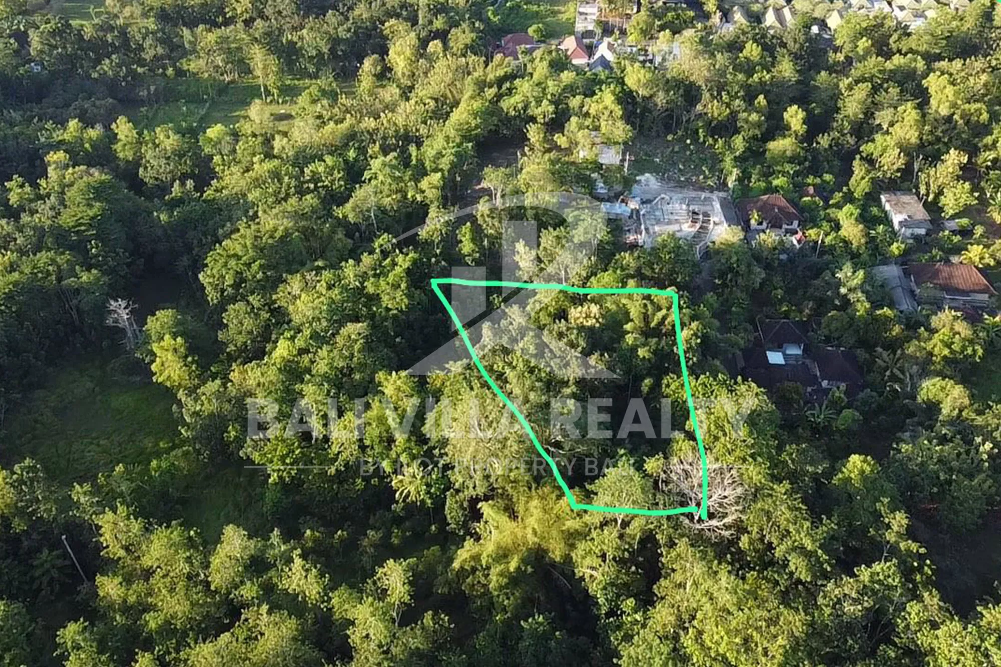 IPB000711 (1)